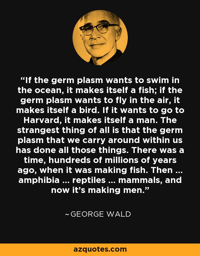 If the germ plasm wants to swim in the ocean, it makes itself a fish; if the germ plasm wants to fly in the air, it makes itself a bird. If it wants to go to Harvard, it makes itself a man. The strangest thing of all is that the germ plasm that we carry around within us has done all those things. There was a time, hundreds of millions of years ago, when it was making fish. Then ... amphibia ... reptiles ... mammals, and now it's making men. - George Wald