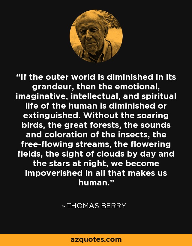 If the outer world is diminished in its grandeur, then the emotional, imaginative, intellectual, and spiritual life of the human is diminished or extinguished. Without the soaring birds, the great forests, the sounds and coloration of the insects, the free-flowing streams, the flowering fields, the sight of clouds by day and the stars at night, we become impoverished in all that makes us human. - Thomas Berry