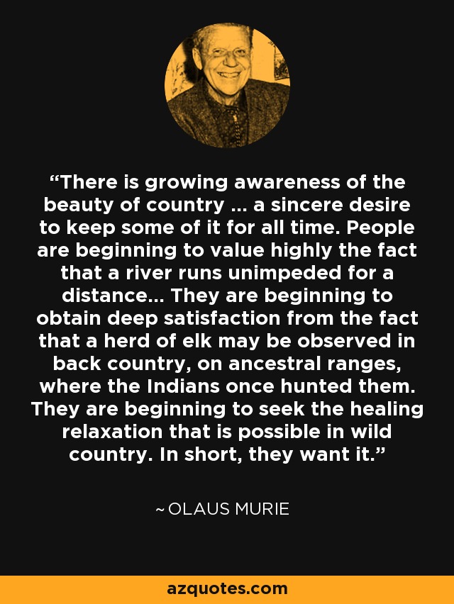 There is growing awareness of the beauty of country ... a sincere desire to keep some of it for all time. People are beginning to value highly the fact that a river runs unimpeded for a distance... They are beginning to obtain deep satisfaction from the fact that a herd of elk may be observed in back country, on ancestral ranges, where the Indians once hunted them. They are beginning to seek the healing relaxation that is possible in wild country. In short, they want it. - Olaus Murie