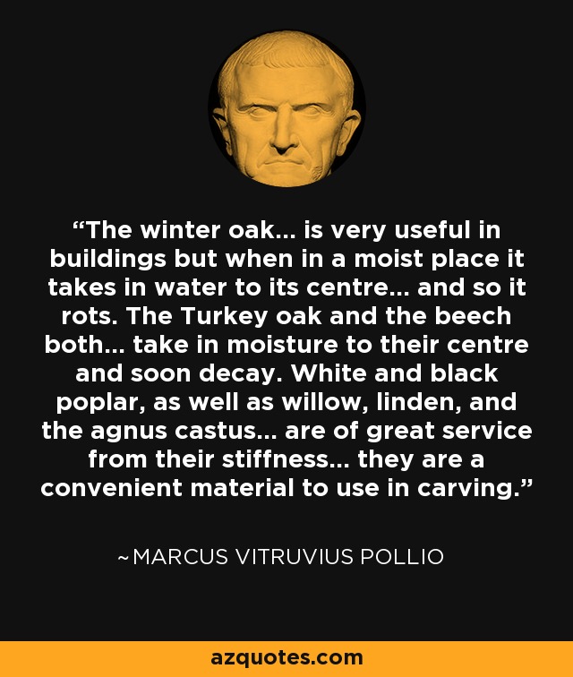 The winter oak... is very useful in buildings but when in a moist place it takes in water to its centre... and so it rots. The Turkey oak and the beech both... take in moisture to their centre and soon decay. White and black poplar, as well as willow, linden, and the agnus castus... are of great service from their stiffness... they are a convenient material to use in carving. - Marcus Vitruvius Pollio