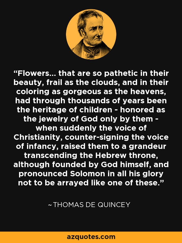 Flowers... that are so pathetic in their beauty, frail as the clouds, and in their coloring as gorgeous as the heavens, had through thousands of years been the heritage of children - honored as the jewelry of God only by them - when suddenly the voice of Christianity, counter-signing the voice of infancy, raised them to a grandeur transcending the Hebrew throne, although founded by God himself, and pronounced Solomon in all his glory not to be arrayed like one of these. - Thomas de Quincey