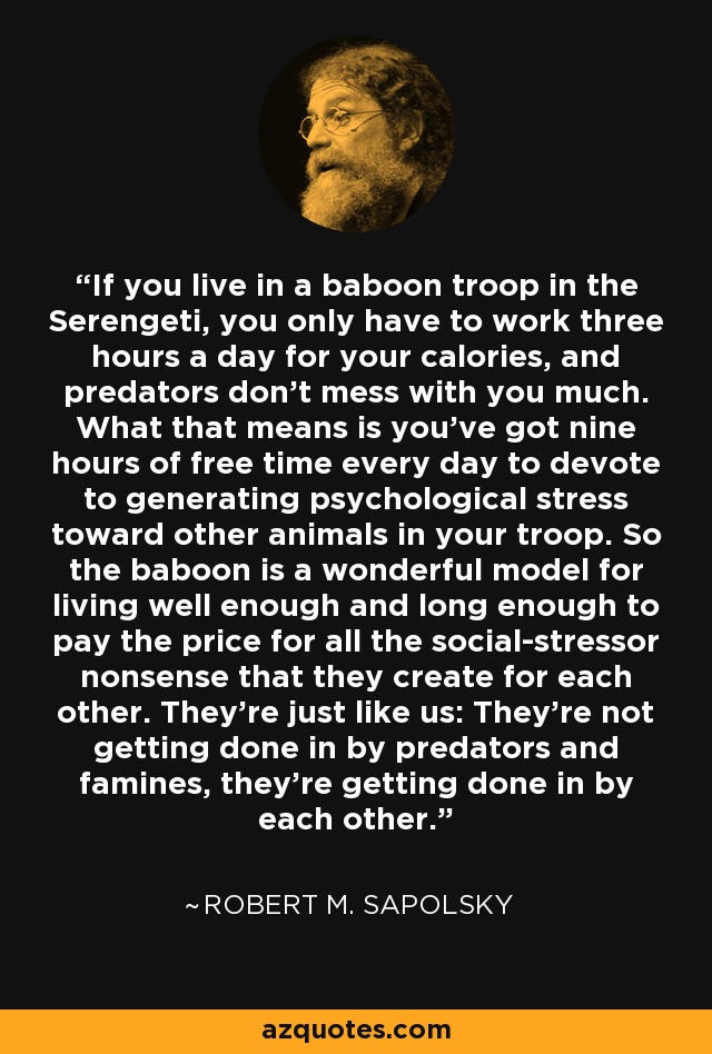 If you live in a baboon troop in the Serengeti, you only have to work three hours a day for your calories, and predators don't mess with you much. What that means is you've got nine hours of free time every day to devote to generating psychological stress toward other animals in your troop. So the baboon is a wonderful model for living well enough and long enough to pay the price for all the social-stressor nonsense that they create for each other. They're just like us: They're not getting done in by predators and famines, they're getting done in by each other. - Robert M. Sapolsky