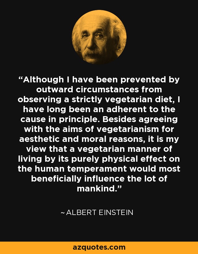 Although I have been prevented by outward circumstances from observing a strictly vegetarian diet, I have long been an adherent to the cause in principle. Besides agreeing with the aims of vegetarianism for aesthetic and moral reasons, it is my view that a vegetarian manner of living by its purely physical effect on the human temperament would most beneficially influence the lot of mankind. - Albert Einstein