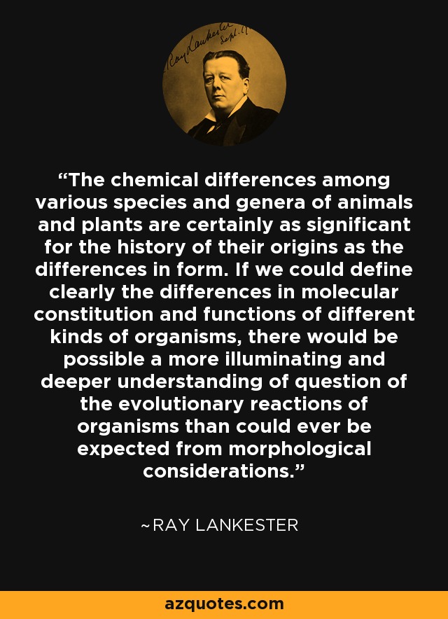 The chemical differences among various species and genera of animals and plants are certainly as significant for the history of their origins as the differences in form. If we could define clearly the differences in molecular constitution and functions of different kinds of organisms, there would be possible a more illuminating and deeper understanding of question of the evolutionary reactions of organisms than could ever be expected from morphological considerations. - Ray Lankester