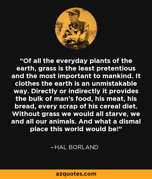 Of all the everyday plants of the earth, grass is the least pretentious and the most important to mankind. It clothes the earth is an unmistakable way. Directly or indirectly it provides the bulk of man's food, his meat, his bread, every scrap of his cereal diet. Without grass we would all starve, we and all our animals. And what a dismal place this world would be! - Hal Borland