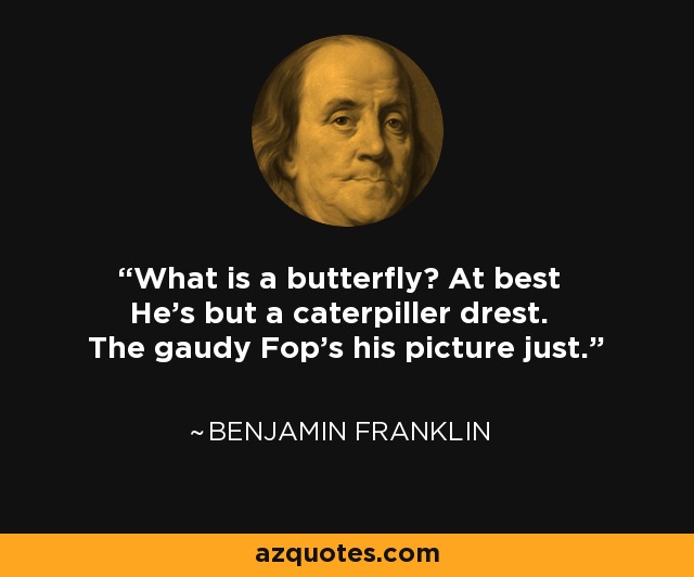 What is a butterfly? At best He's but a caterpiller drest. The gaudy Fop's his picture just. - Benjamin Franklin