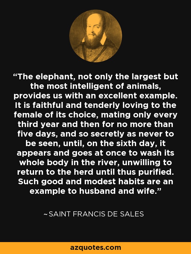 The elephant, not only the largest but the most intelligent of animals, provides us with an excellent example. It is faithful and tenderly loving to the female of its choice, mating only every third year and then for no more than five days, and so secretly as never to be seen, until, on the sixth day, it appears and goes at once to wash its whole body in the river, unwilling to return to the herd until thus purified. Such good and modest habits are an example to husband and wife. - Saint Francis de Sales