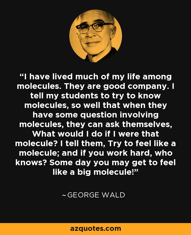 I have lived much of my life among molecules. They are good company. I tell my students to try to know molecules, so well that when they have some question involving molecules, they can ask themselves, What would I do if I were that molecule? I tell them, Try to feel like a molecule; and if you work hard, who knows? Some day you may get to feel like a big molecule! - George Wald