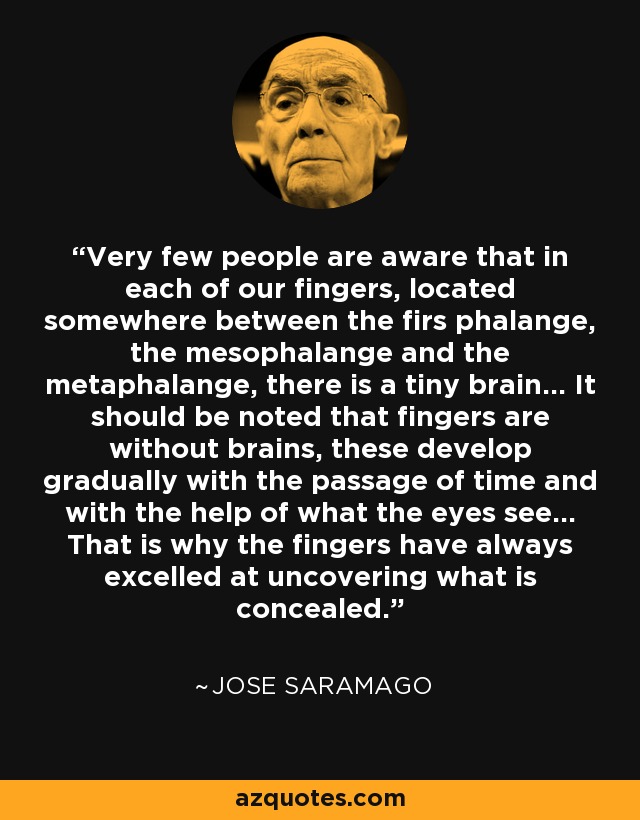 Very few people are aware that in each of our fingers, located somewhere between the firs phalange, the mesophalange and the metaphalange, there is a tiny brain... It should be noted that fingers are without brains, these develop gradually with the passage of time and with the help of what the eyes see... That is why the fingers have always excelled at uncovering what is concealed. - Jose Saramago