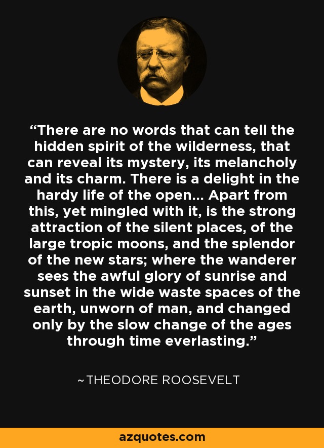 There are no words that can tell the hidden spirit of the wilderness, that can reveal its mystery, its melancholy and its charm. There is a delight in the hardy life of the open... Apart from this, yet mingled with it, is the strong attraction of the silent places, of the large tropic moons, and the splendor of the new stars; where the wanderer sees the awful glory of sunrise and sunset in the wide waste spaces of the earth, unworn of man, and changed only by the slow change of the ages through time everlasting. - Theodore Roosevelt