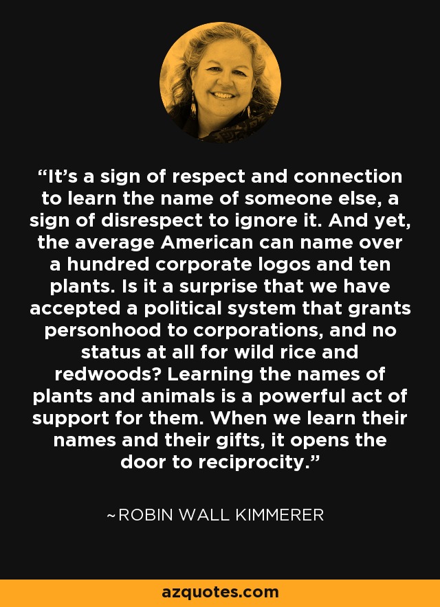 It's a sign of respect and connection to learn the name of someone else, a sign of disrespect to ignore it. And yet, the average American can name over a hundred corporate logos and ten plants. Is it a surprise that we have accepted a political system that grants personhood to corporations, and no status at all for wild rice and redwoods? Learning the names of plants and animals is a powerful act of support for them. When we learn their names and their gifts, it opens the door to reciprocity. - Robin Wall Kimmerer