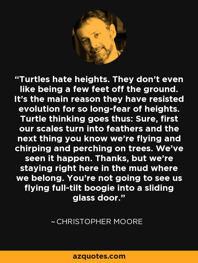 Turtles hate heights. They don't even like being a few feet off the ground. It's the main reason they have resisted evolution for so long-fear of heights. Turtle thinking goes thus: Sure, first our scales turn into feathers and the next thing you know we're flying and chirping and perching on trees. We've seen it happen. Thanks, but we're staying right here in the mud where we belong. You're not going to see us flying full-tilt boogie into a sliding glass door. - Christopher Moore
