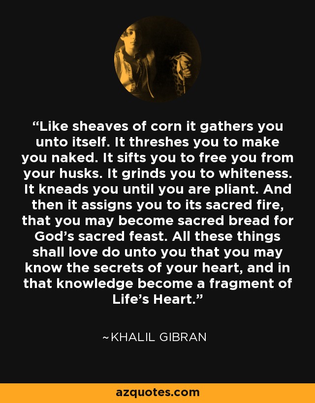 Like sheaves of corn it gathers you unto itself. It threshes you to make you naked. It sifts you to free you from your husks. It grinds you to whiteness. It kneads you until you are pliant. And then it assigns you to its sacred fire, that you may become sacred bread for God's sacred feast. All these things shall love do unto you that you may know the secrets of your heart, and in that knowledge become a fragment of Life's Heart. - Khalil Gibran