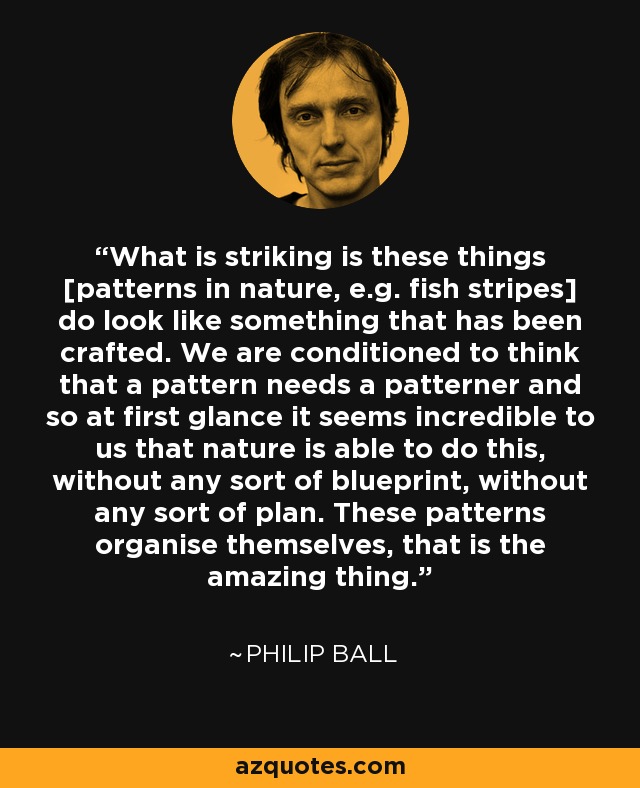 What is striking is these things [patterns in nature, e.g. fish stripes] do look like something that has been crafted. We are conditioned to think that a pattern needs a patterner and so at first glance it seems incredible to us that nature is able to do this, without any sort of blueprint, without any sort of plan. These patterns organise themselves, that is the amazing thing. - Philip Ball