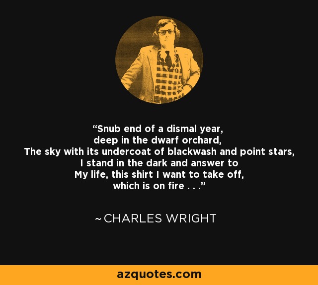Snub end of a dismal year, deep in the dwarf orchard, The sky with its undercoat of blackwash and point stars, I stand in the dark and answer to My life, this shirt I want to take off, which is on fire . . . - Charles Wright