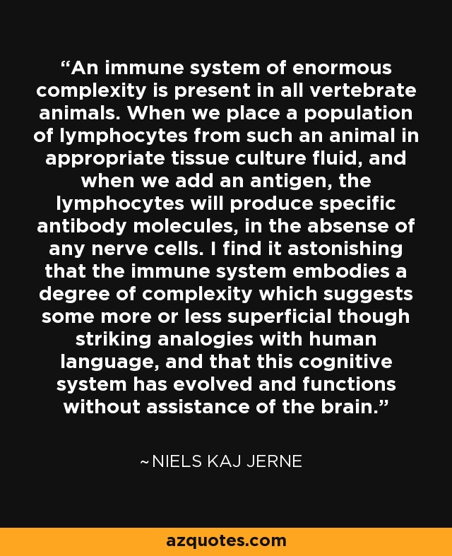 An immune system of enormous complexity is present in all vertebrate animals. When we place a population of lymphocytes from such an animal in appropriate tissue culture fluid, and when we add an antigen, the lymphocytes will produce specific antibody molecules, in the absense of any nerve cells. I find it astonishing that the immune system embodies a degree of complexity which suggests some more or less superficial though striking analogies with human language, and that this cognitive system has evolved and functions without assistance of the brain. - Niels Kaj Jerne