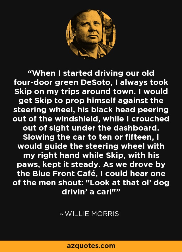 When I started driving our old four-door green DeSoto, I always took Skip on my trips around town. I would get Skip to prop himself against the steering wheel, his black head peering out of the windshield, while I crouched out of sight under the dashboard. Slowing the car to ten or fifteen, I would guide the steering wheel with my right hand while Skip, with his paws, kept it steady. As we drove by the Blue Front Café, I could hear one of the men shout: 