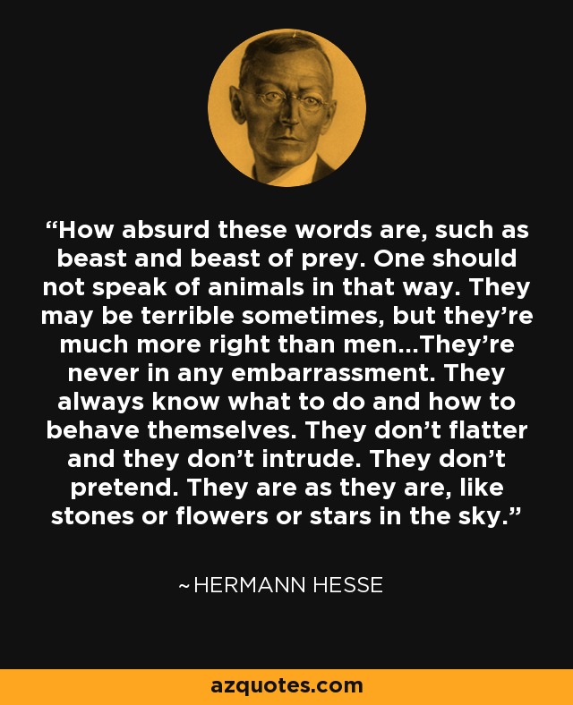 How absurd these words are, such as beast and beast of prey. One should not speak of animals in that way. They may be terrible sometimes, but they're much more right than men...They're never in any embarrassment. They always know what to do and how to behave themselves. They don't flatter and they don't intrude. They don't pretend. They are as they are, like stones or flowers or stars in the sky. - Hermann Hesse