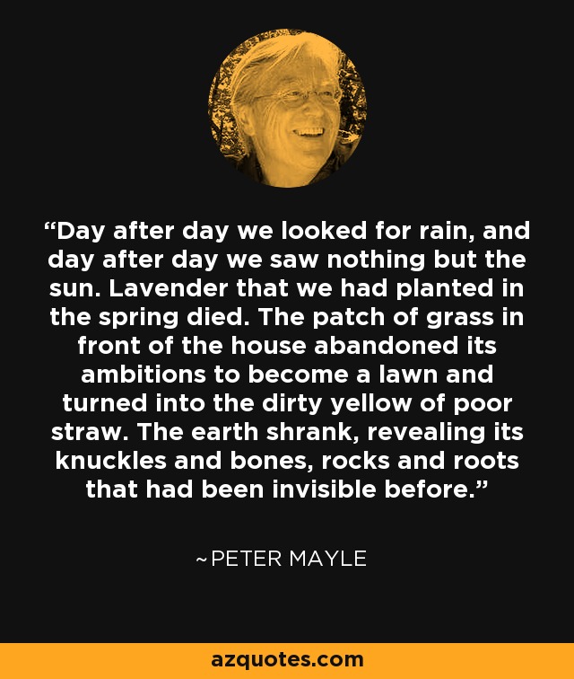 Day after day we looked for rain, and day after day we saw nothing but the sun. Lavender that we had planted in the spring died. The patch of grass in front of the house abandoned its ambitions to become a lawn and turned into the dirty yellow of poor straw. The earth shrank, revealing its knuckles and bones, rocks and roots that had been invisible before. - Peter Mayle