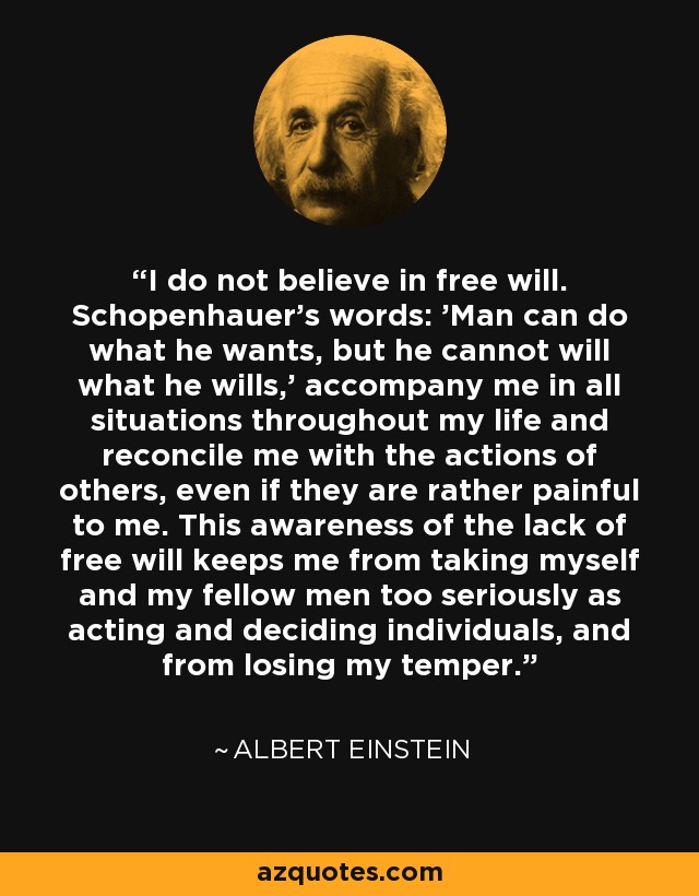 I do not believe in free will. Schopenhauer's words: 'Man can do what he wants, but he cannot will what he wills,' accompany me in all situations throughout my life and reconcile me with the actions of others, even if they are rather painful to me. This awareness of the lack of free will keeps me from taking myself and my fellow men too seriously as acting and deciding individuals, and from losing my temper. - Albert Einstein