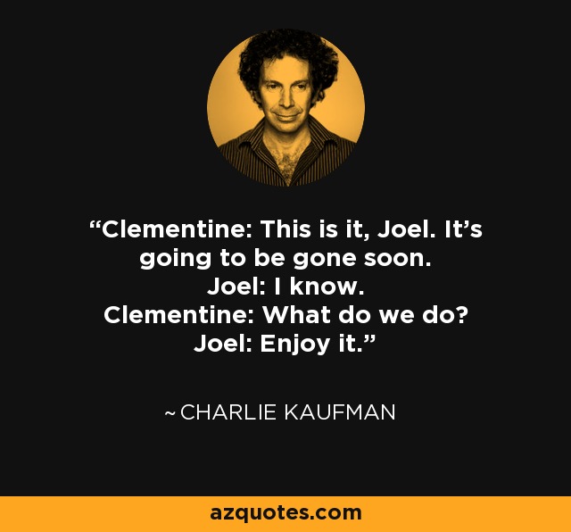 Clementine: This is it, Joel. It's going to be gone soon. Joel: I know. Clementine: What do we do? Joel: Enjoy it. - Charlie Kaufman