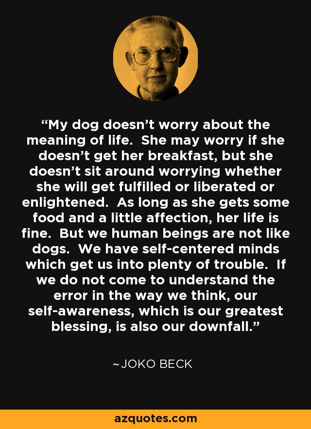 My dog doesn't worry about the meaning of life. She may worry if she doesn't get her breakfast, but she doesn't sit around worrying whether she will get fulfilled or liberated or enlightened. As long as she gets some food and a little affection, her life is fine. But we human beings are not like dogs. We have self-centered minds which get us into plenty of trouble. If we do not come to understand the error in the way we think, our self-awareness, which is our greatest blessing, is also our downfall. - Joko Beck
