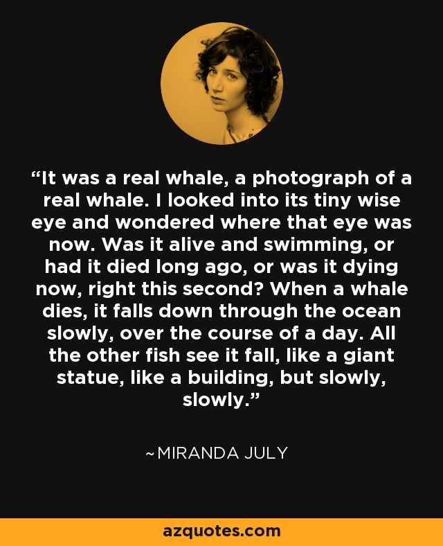 It was a real whale, a photograph of a real whale. I looked into its tiny wise eye and wondered where that eye was now. Was it alive and swimming, or had it died long ago, or was it dying now, right this second? When a whale dies, it falls down through the ocean slowly, over the course of a day. All the other fish see it fall, like a giant statue, like a building, but slowly, slowly. - Miranda July