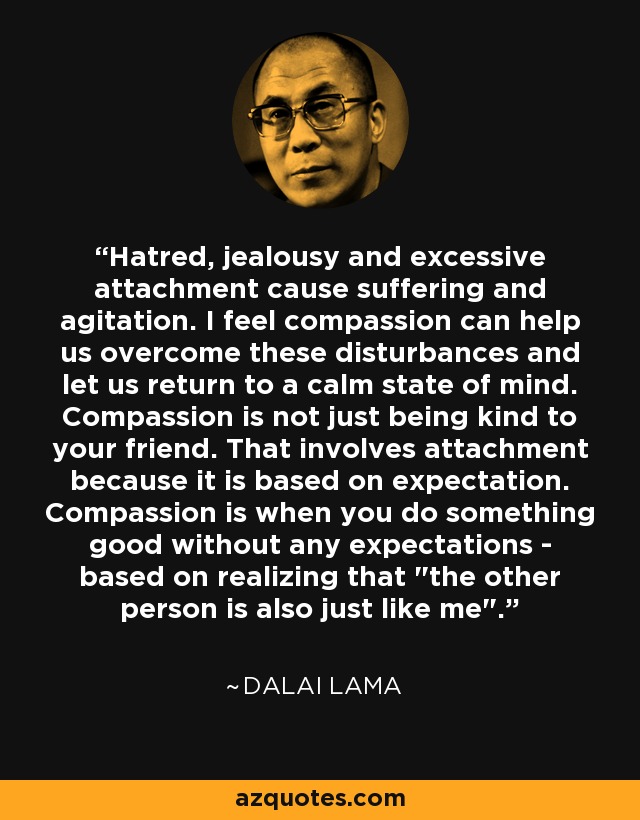 Hatred, jealousy and excessive attachment cause suffering and agitation. I feel compassion can help us overcome these disturbances and let us return to a calm state of mind. Compassion is not just being kind to your friend. That involves attachment because it is based on expectation. Compassion is when you do something good without any expectations - based on realizing that 
