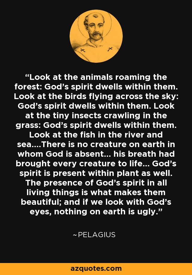 Look at the animals roaming the forest: God’s spirit dwells within them. Look at the birds flying across the sky: God’s spirit dwells within them. Look at the tiny insects crawling in the grass: God’s spirit dwells within them. Look at the fish in the river and sea….There is no creature on earth in whom God is absent… his breath had brought every creature to life… God’s spirit is present within plant as well. The presence of God’s spirit in all living things is what makes them beautiful; and if we look with God’s eyes, nothing on earth is ugly. - Pelagius