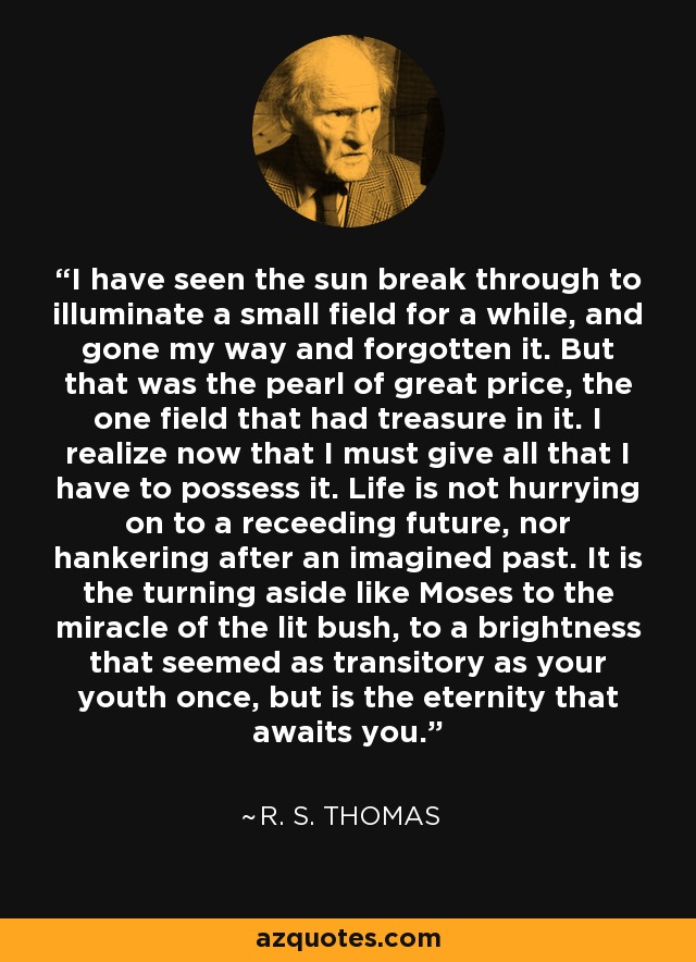 I have seen the sun break through to illuminate a small field for a while, and gone my way and forgotten it. But that was the pearl of great price, the one field that had treasure in it. I realize now that I must give all that I have to possess it. Life is not hurrying on to a receeding future, nor hankering after an imagined past. It is the turning aside like Moses to the miracle of the lit bush, to a brightness that seemed as transitory as your youth once, but is the eternity that awaits you. - R. S. Thomas