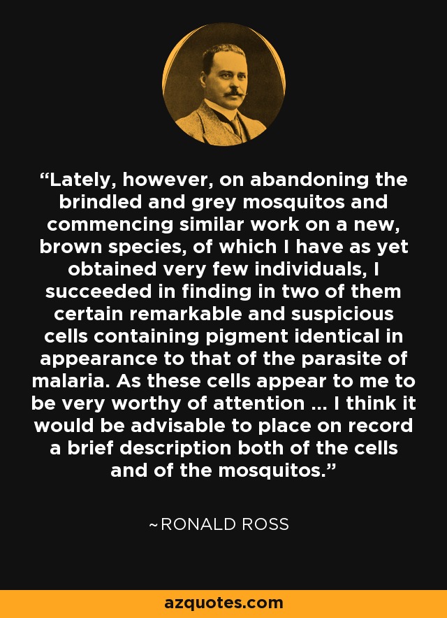 Lately, however, on abandoning the brindled and grey mosquitos and commencing similar work on a new, brown species, of which I have as yet obtained very few individuals, I succeeded in finding in two of them certain remarkable and suspicious cells containing pigment identical in appearance to that of the parasite of malaria. As these cells appear to me to be very worthy of attention ... I think it would be advisable to place on record a brief description both of the cells and of the mosquitos. - Ronald Ross