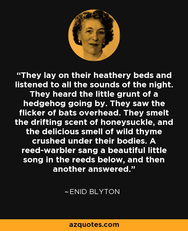 They lay on their heathery beds and listened to all the sounds of the night. They heard the little grunt of a hedgehog going by. They saw the flicker of bats overhead. They smelt the drifting scent of honeysuckle, and the delicious smell of wild thyme crushed under their bodies. A reed-warbler sang a beautiful little song in the reeds below, and then another answered. - Enid Blyton