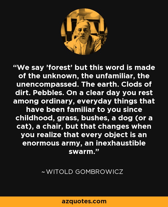 We say 'forest' but this word is made of the unknown, the unfamiliar, the unencompassed. The earth. Clods of dirt. Pebbles. On a clear day you rest among ordinary, everyday things that have been familiar to you since childhood, grass, bushes, a dog (or a cat), a chair, but that changes when you realize that every object is an enormous army, an inexhaustible swarm. - Witold Gombrowicz