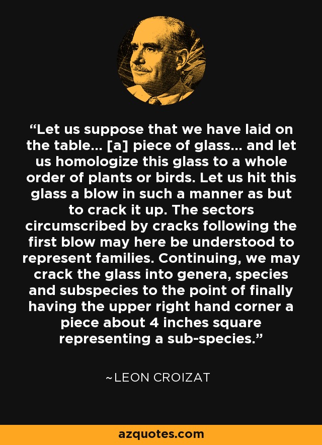 Let us suppose that we have laid on the table... [a] piece of glass... and let us homologize this glass to a whole order of plants or birds. Let us hit this glass a blow in such a manner as but to crack it up. The sectors circumscribed by cracks following the first blow may here be understood to represent families. Continuing, we may crack the glass into genera, species and subspecies to the point of finally having the upper right hand corner a piece about 4 inches square representing a sub-species. - Leon Croizat