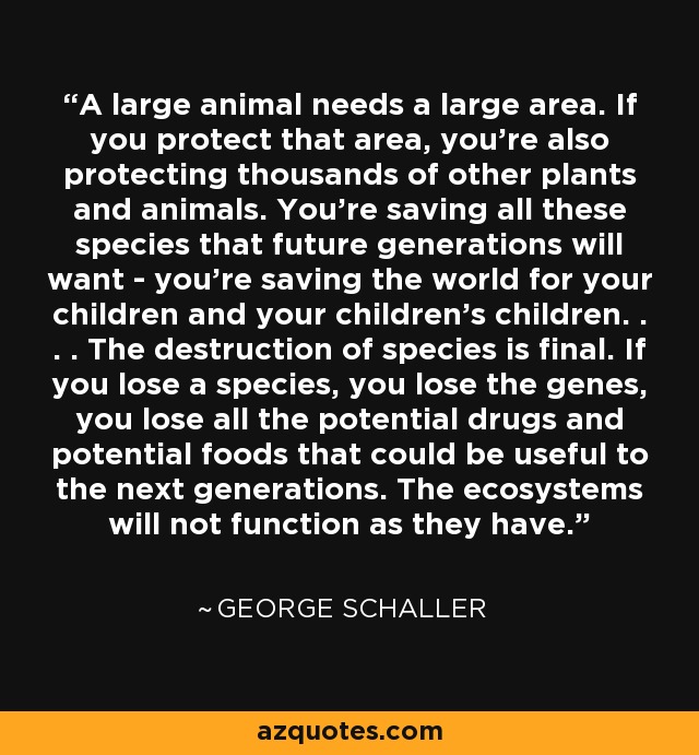 A large animal needs a large area. If you protect that area, you're also protecting thousands of other plants and animals. You're saving all these species that future generations will want - you're saving the world for your children and your children's children. . . . The destruction of species is final. If you lose a species, you lose the genes, you lose all the potential drugs and potential foods that could be useful to the next generations. The ecosystems will not function as they have. - George Schaller