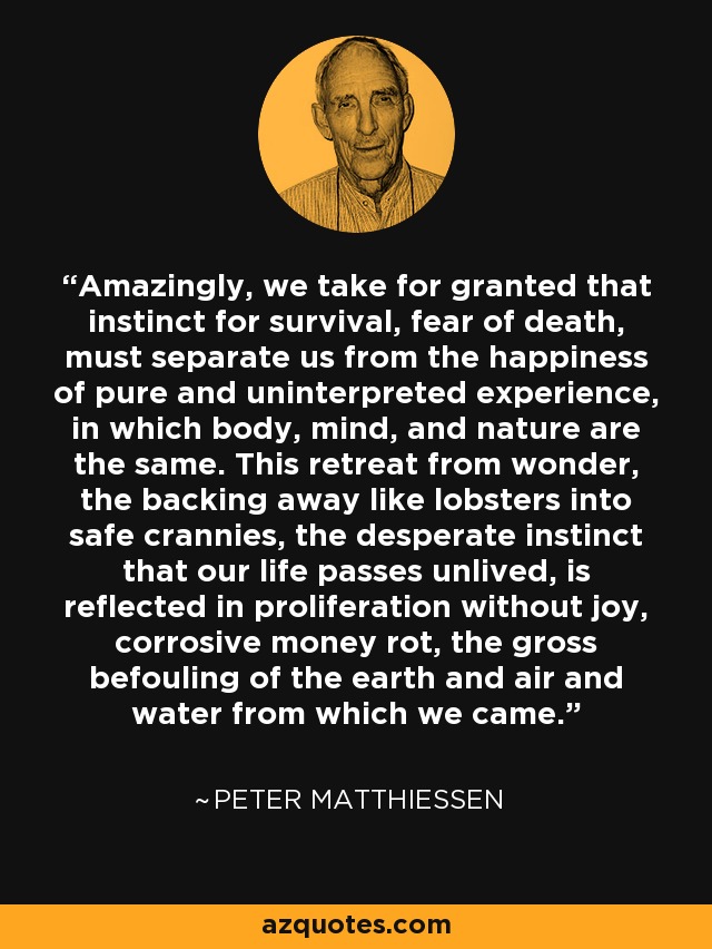 Amazingly, we take for granted that instinct for survival, fear of death, must separate us from the happiness of pure and uninterpreted experience, in which body, mind, and nature are the same. This retreat from wonder, the backing away like lobsters into safe crannies, the desperate instinct that our life passes unlived, is reflected in proliferation without joy, corrosive money rot, the gross befouling of the earth and air and water from which we came. - Peter Matthiessen