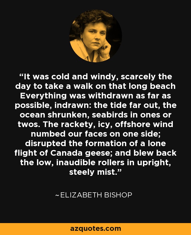 It was cold and windy, scarcely the day to take a walk on that long beach Everything was withdrawn as far as possible, indrawn: the tide far out, the ocean shrunken, seabirds in ones or twos. The rackety, icy, offshore wind numbed our faces on one side; disrupted the formation of a lone flight of Canada geese; and blew back the low, inaudible rollers in upright, steely mist. - Elizabeth Bishop