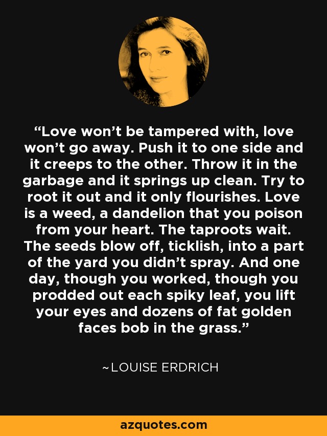 Love won't be tampered with, love won't go away. Push it to one side and it creeps to the other. Throw it in the garbage and it springs up clean. Try to root it out and it only flourishes. Love is a weed, a dandelion that you poison from your heart. The taproots wait. The seeds blow off, ticklish, into a part of the yard you didn't spray. And one day, though you worked, though you prodded out each spiky leaf, you lift your eyes and dozens of fat golden faces bob in the grass. - Louise Erdrich