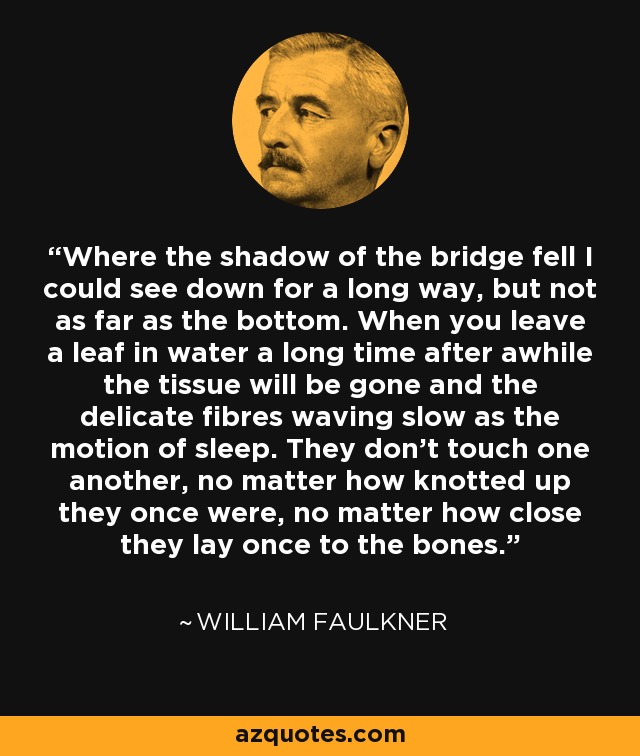 Where the shadow of the bridge fell I could see down for a long way, but not as far as the bottom. When you leave a leaf in water a long time after awhile the tissue will be gone and the delicate fibres waving slow as the motion of sleep. They don't touch one another, no matter how knotted up they once were, no matter how close they lay once to the bones. - William Faulkner