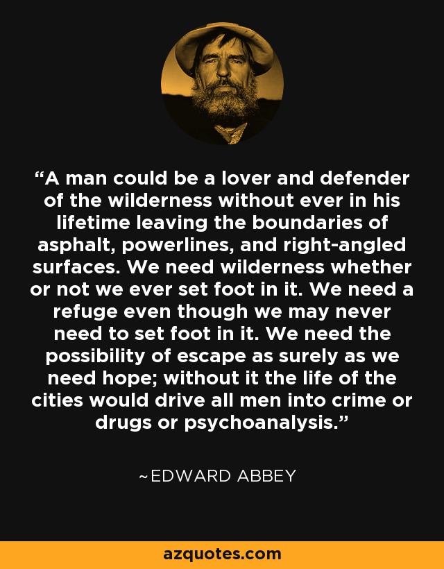 A man could be a lover and defender of the wilderness without ever in his lifetime leaving the boundaries of asphalt, powerlines, and right-angled surfaces. We need wilderness whether or not we ever set foot in it. We need a refuge even though we may never need to set foot in it. We need the possibility of escape as surely as we need hope; without it the life of the cities would drive all men into crime or drugs or psychoanalysis. - Edward Abbey