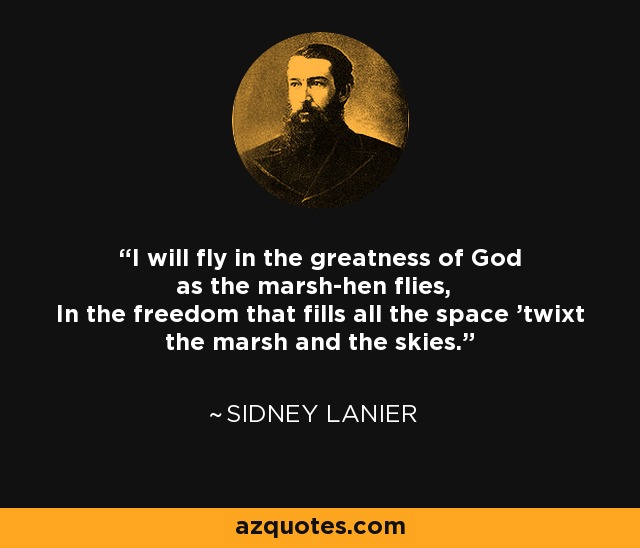 I will fly in the greatness of God as the marsh-hen flies, In the freedom that fills all the space 'twixt the marsh and the skies. - Sidney Lanier