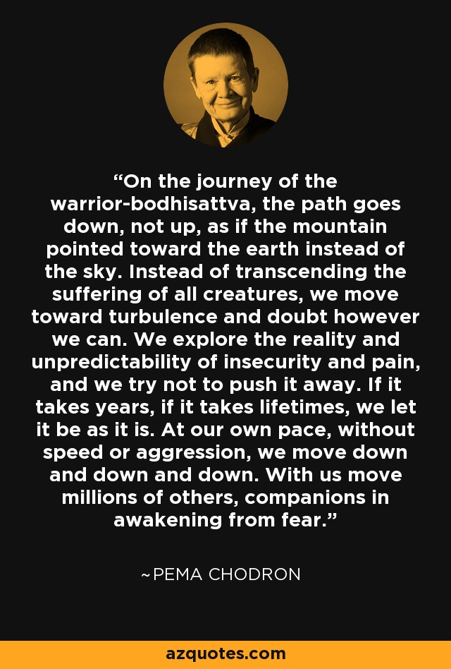 On the journey of the warrior-bodhisattva, the path goes down, not up, as if the mountain pointed toward the earth instead of the sky. Instead of transcending the suffering of all creatures, we move toward turbulence and doubt however we can. We explore the reality and unpredictability of insecurity and pain, and we try not to push it away. If it takes years, if it takes lifetimes, we let it be as it is. At our own pace, without speed or aggression, we move down and down and down. With us move millions of others, companions in awakening from fear. - Pema Chodron