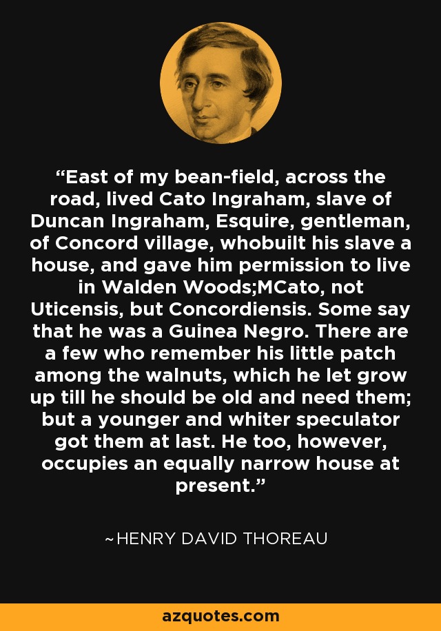 East of my bean-field, across the road, lived Cato Ingraham, slave of Duncan Ingraham, Esquire, gentleman, of Concord village, whobuilt his slave a house, and gave him permission to live in Walden Woods;MCato, not Uticensis, but Concordiensis. Some say that he was a Guinea Negro. There are a few who remember his little patch among the walnuts, which he let grow up till he should be old and need them; but a younger and whiter speculator got them at last. He too, however, occupies an equally narrow house at present. - Henry David Thoreau