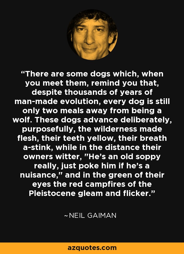 There are some dogs which, when you meet them, remind you that, despite thousands of years of man-made evolution, every dog is still only two meals away from being a wolf. These dogs advance deliberately, purposefully, the wilderness made flesh, their teeth yellow, their breath a-stink, while in the distance their owners witter, 