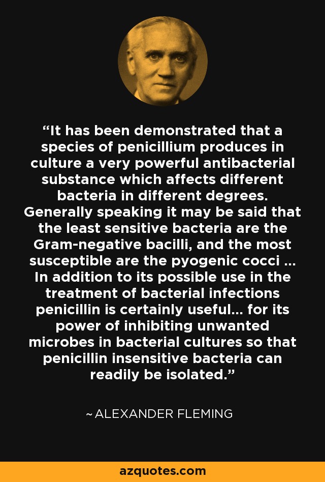 It has been demonstrated that a species of penicillium produces in culture a very powerful antibacterial substance which affects different bacteria in different degrees. Generally speaking it may be said that the least sensitive bacteria are the Gram-negative bacilli, and the most susceptible are the pyogenic cocci ... In addition to its possible use in the treatment of bacterial infections penicillin is certainly useful... for its power of inhibiting unwanted microbes in bacterial cultures so that penicillin insensitive bacteria can readily be isolated. - Alexander Fleming