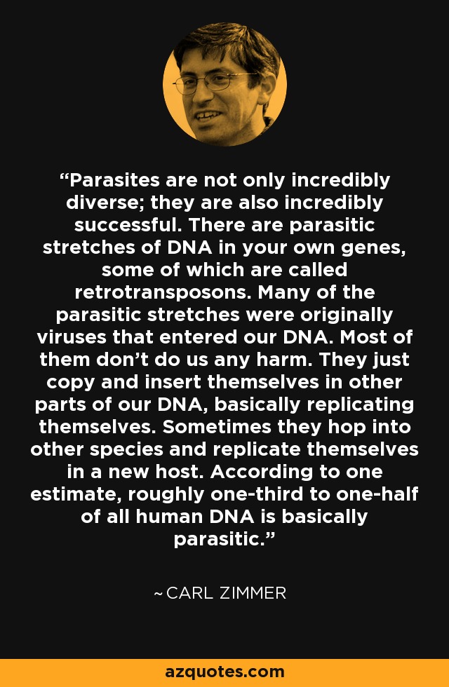 Parasites are not only incredibly diverse; they are also incredibly successful. There are parasitic stretches of DNA in your own genes, some of which are called retrotransposons. Many of the parasitic stretches were originally viruses that entered our DNA. Most of them don't do us any harm. They just copy and insert themselves in other parts of our DNA, basically replicating themselves. Sometimes they hop into other species and replicate themselves in a new host. According to one estimate, roughly one-third to one-half of all human DNA is basically parasitic. - Carl Zimmer