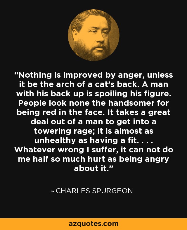 Nothing is improved by anger, unless it be the arch of a cat's back. A man with his back up is spoiling his figure. People look none the handsomer for being red in the face. It takes a great deal out of a man to get into a towering rage; it is almost as unhealthy as having a fit. . . . Whatever wrong I suffer, it can not do me half so much hurt as being angry about it. - Charles Spurgeon