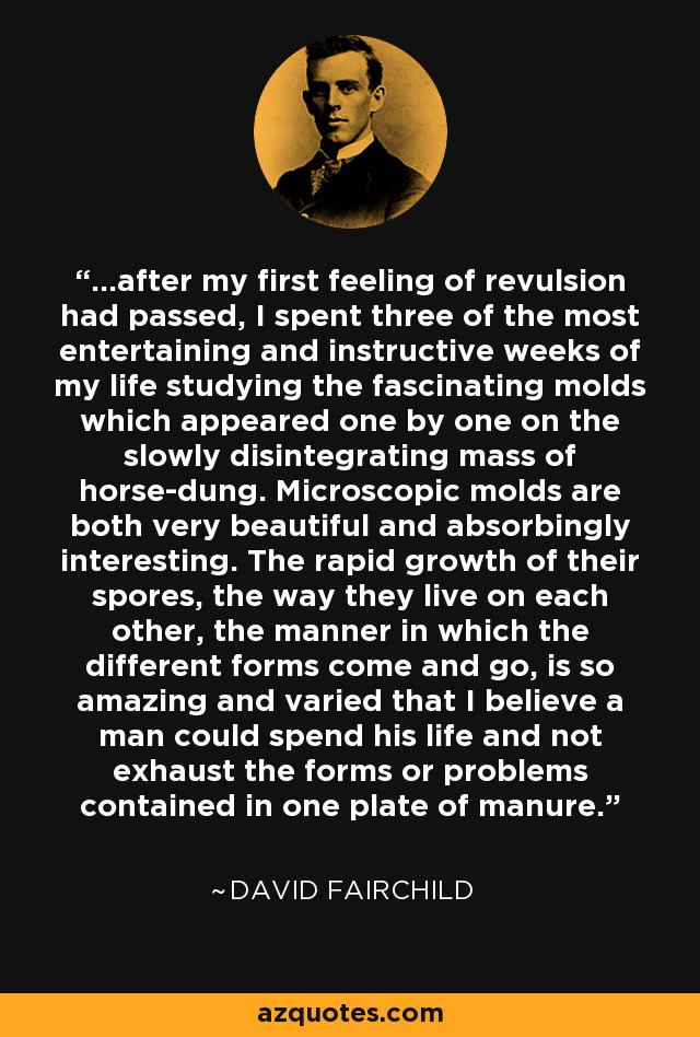 ...after my first feeling of revulsion had passed, I spent three of the most entertaining and instructive weeks of my life studying the fascinating molds which appeared one by one on the slowly disintegrating mass of horse-dung. Microscopic molds are both very beautiful and absorbingly interesting. The rapid growth of their spores, the way they live on each other, the manner in which the different forms come and go, is so amazing and varied that I believe a man could spend his life and not exhaust the forms or problems contained in one plate of manure. - David Fairchild