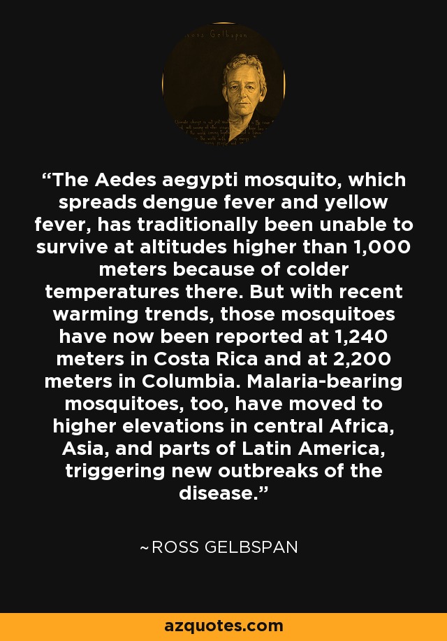 The Aedes aegypti mosquito, which spreads dengue fever and yellow fever, has traditionally been unable to survive at altitudes higher than 1,000 meters because of colder temperatures there. But with recent warming trends, those mosquitoes have now been reported at 1,240 meters in Costa Rica and at 2,200 meters in Columbia. Malaria-bearing mosquitoes, too, have moved to higher elevations in central Africa, Asia, and parts of Latin America, triggering new outbreaks of the disease. - Ross Gelbspan