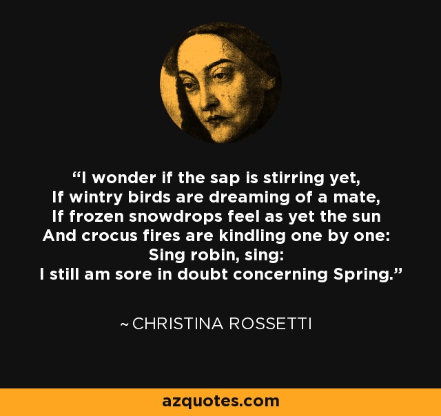 I wonder if the sap is stirring yet, If wintry birds are dreaming of a mate, If frozen snowdrops feel as yet the sun And crocus fires are kindling one by one: Sing robin, sing: I still am sore in doubt concerning Spring. - Christina Rossetti